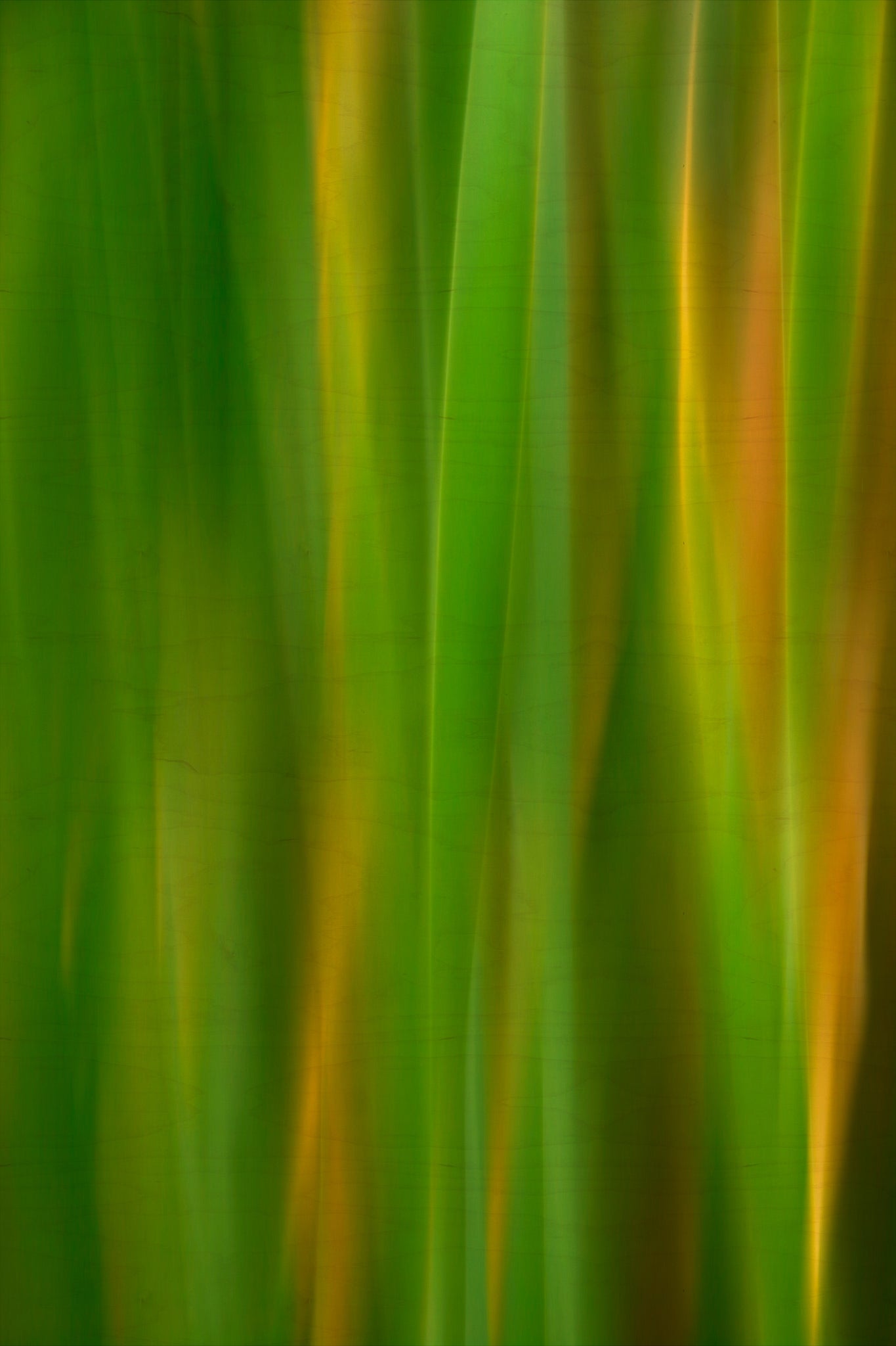 Static and Motion, 2007-11-17-0142