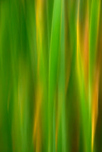 Static and Motion, 2007-11-17-0142