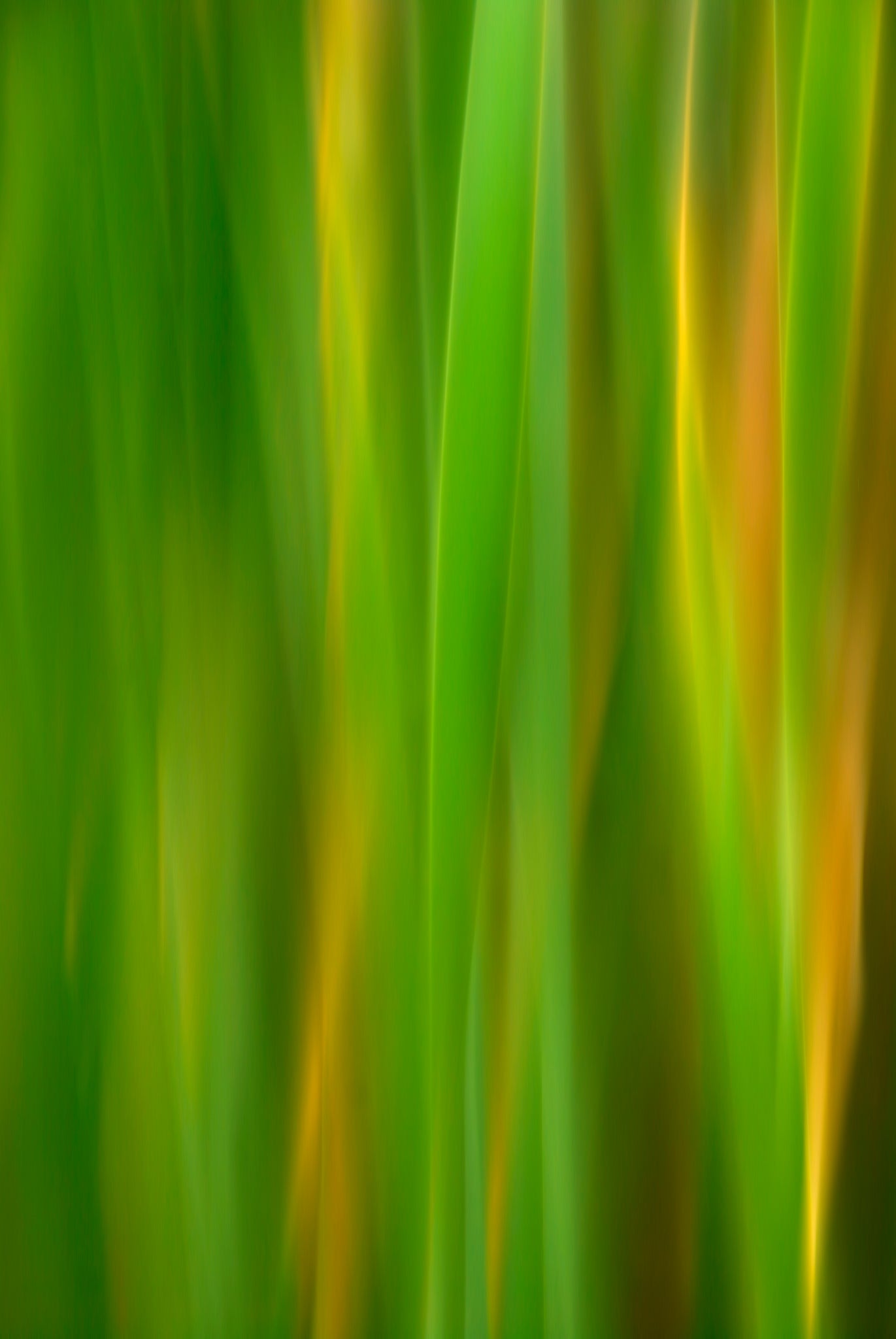Static and Motion, 2007-11-17-0142