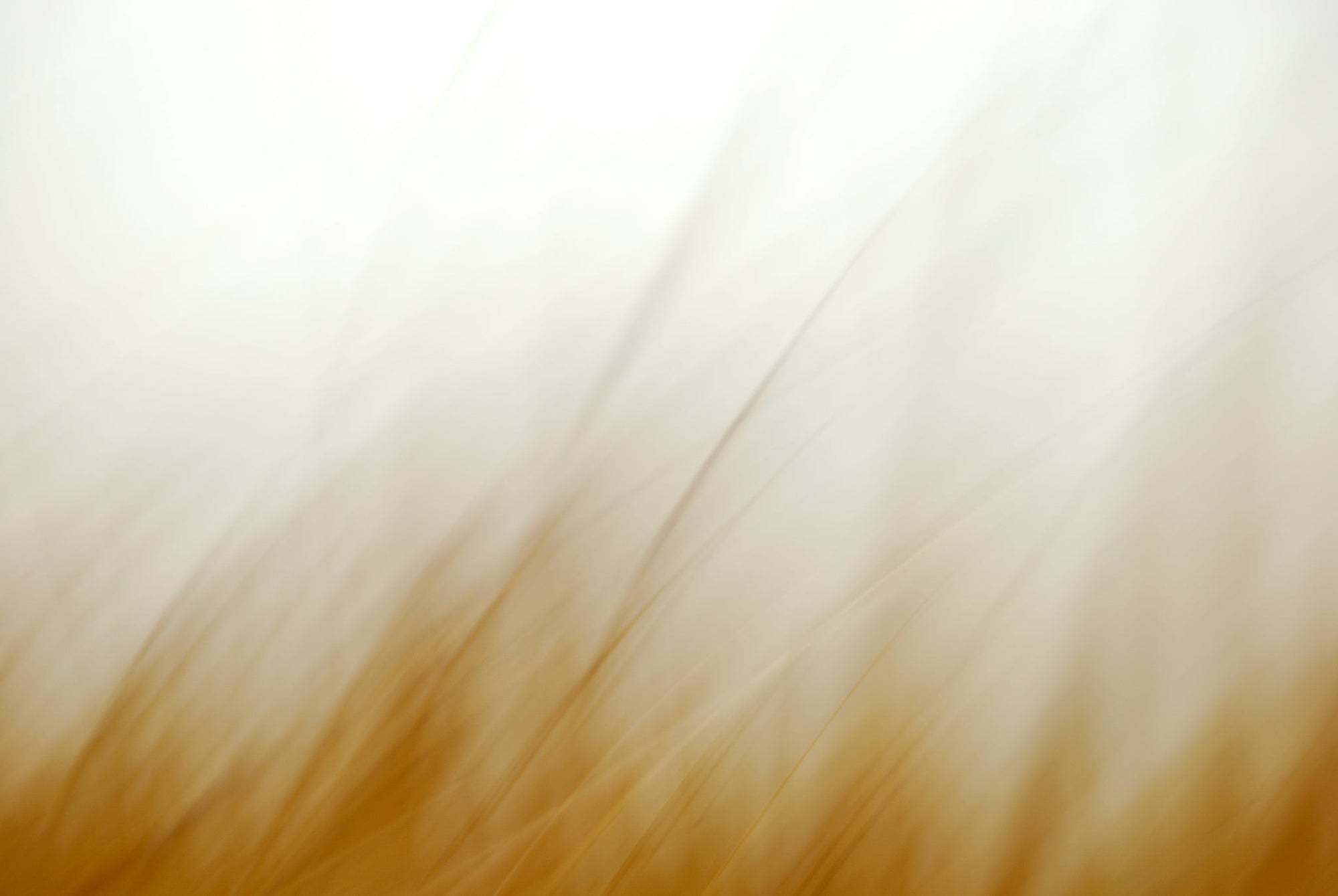 Static and Motion, 2007-11-17-0277