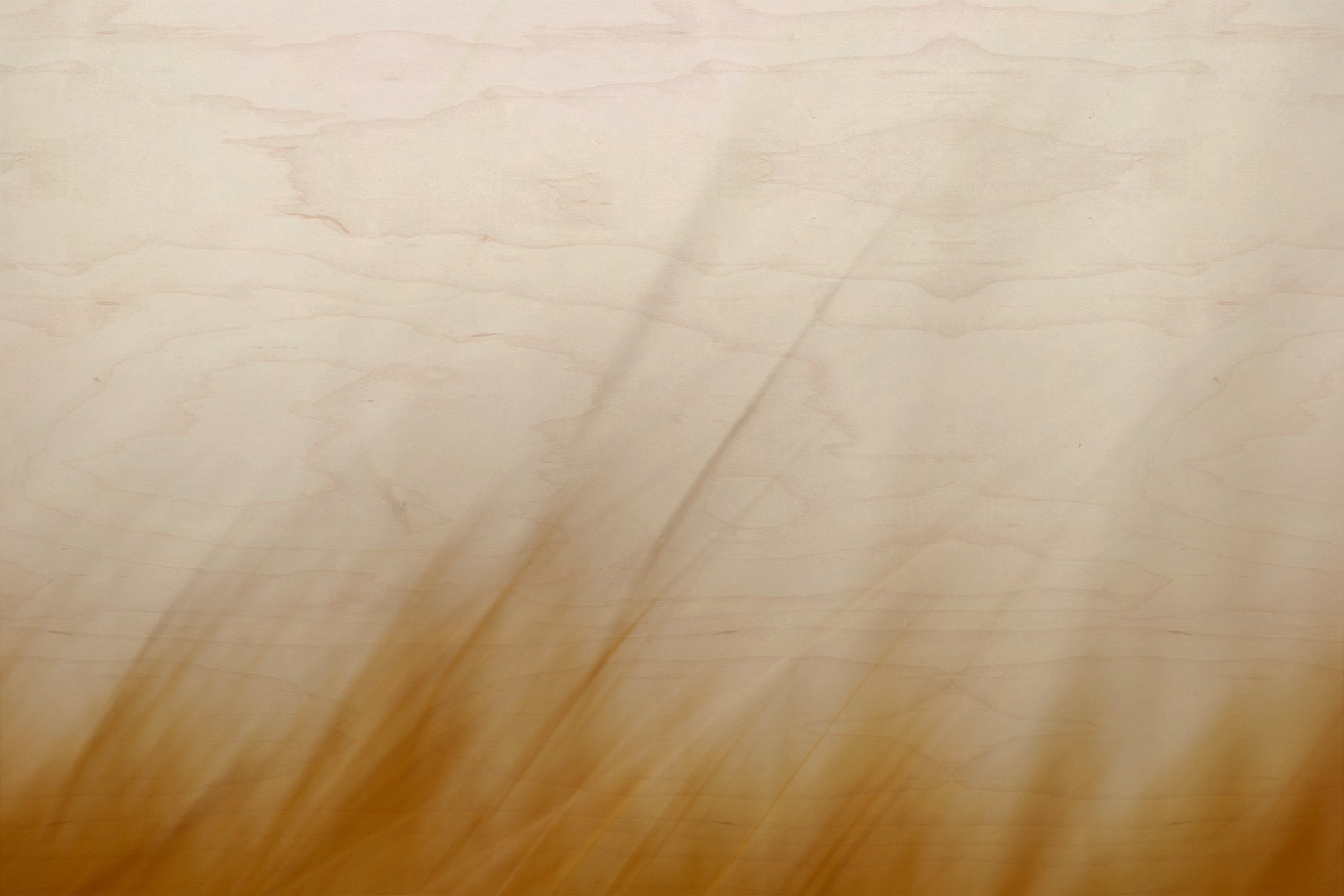 Static and Motion, 2007-11-17-0277