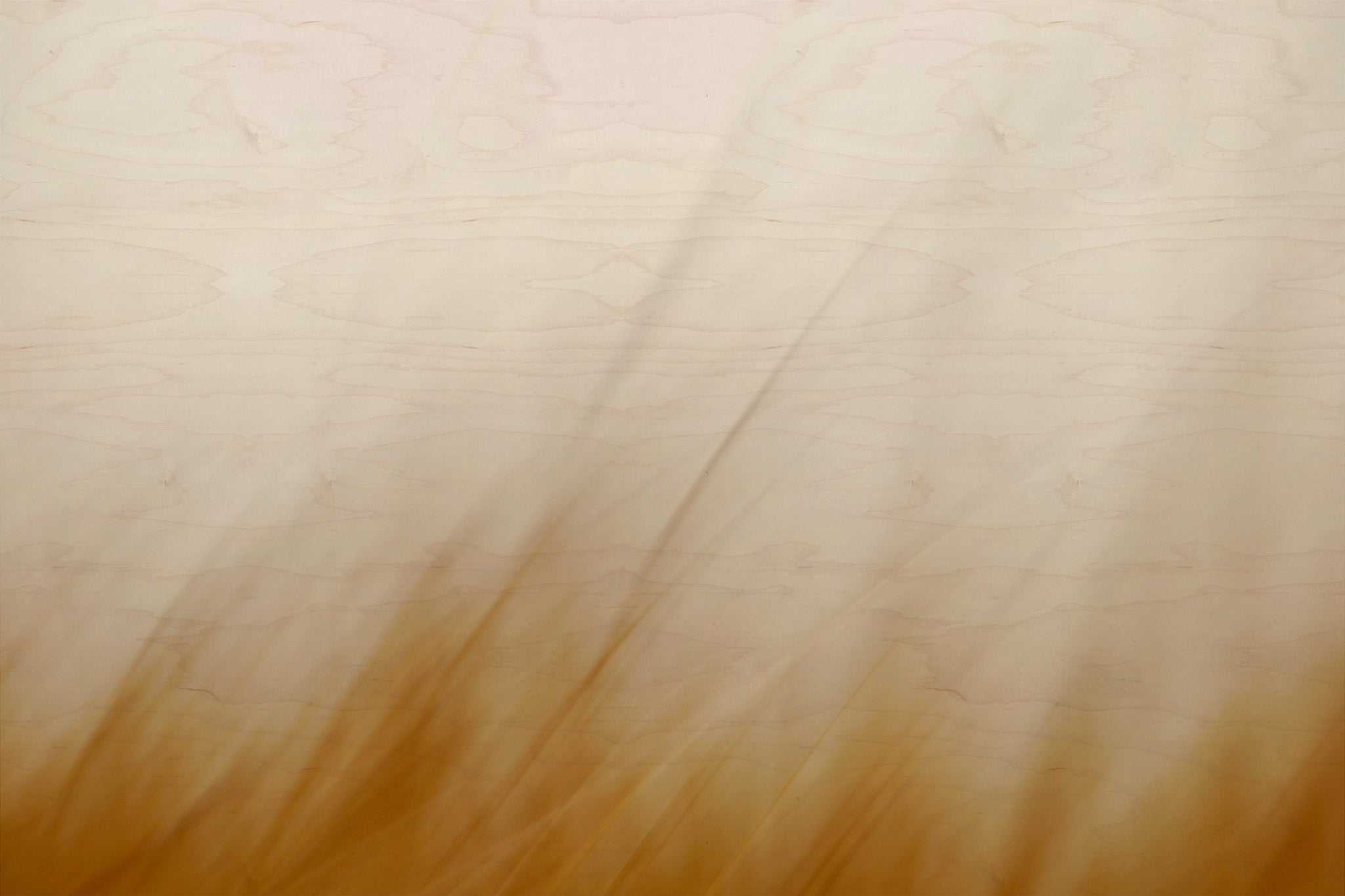Static and Motion, 2007-11-17-0277