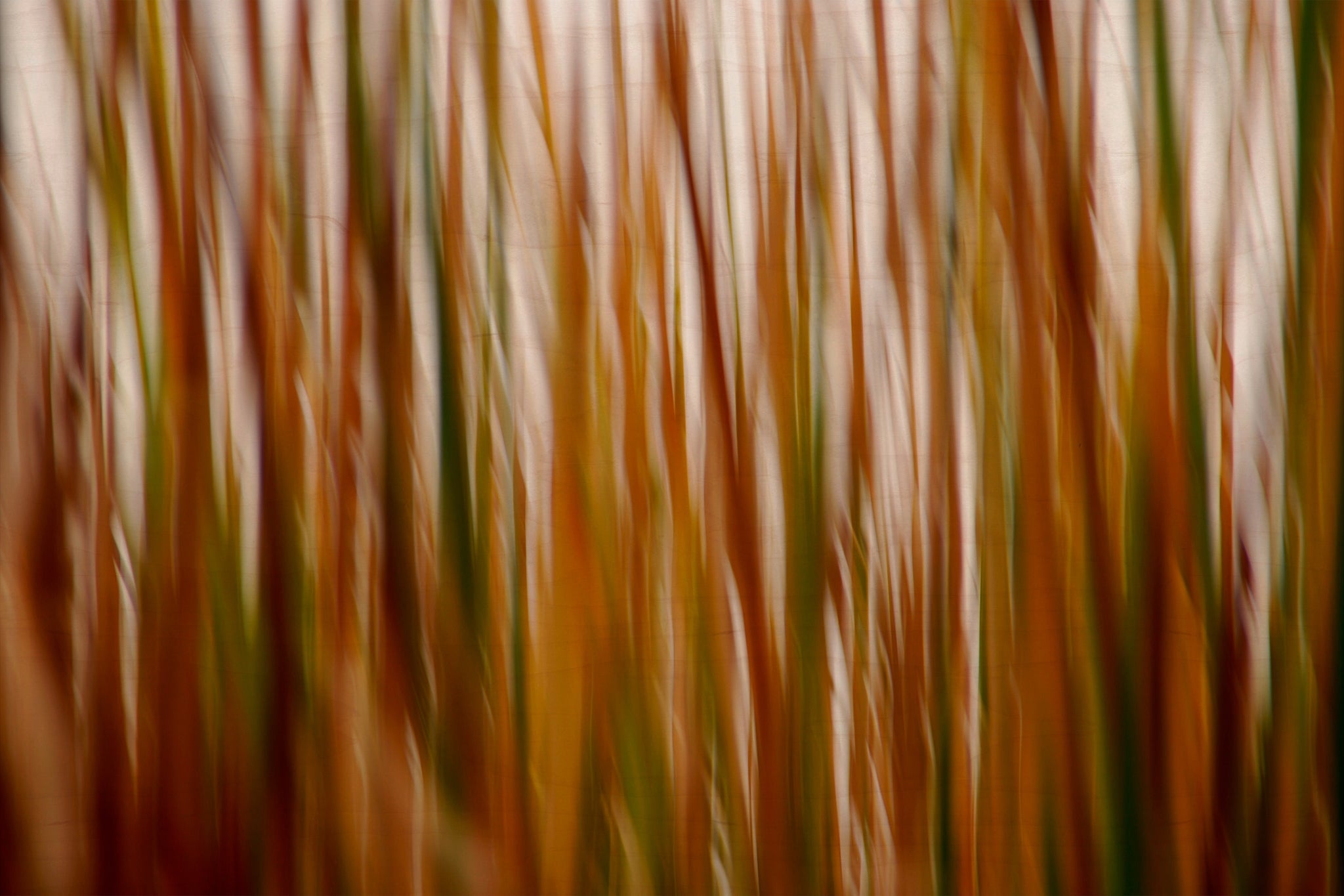 Static and Motion, 2007-11-17-0316