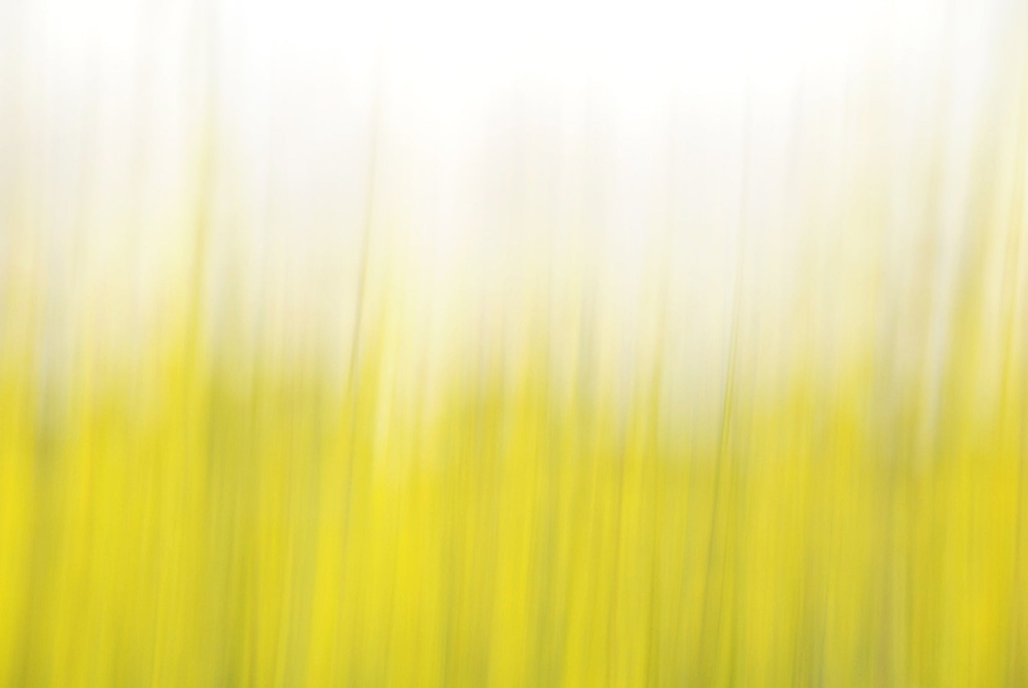 Static and Motion, 2008-03-22-0259
