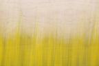 Static and Motion, 2008-03-22-0259