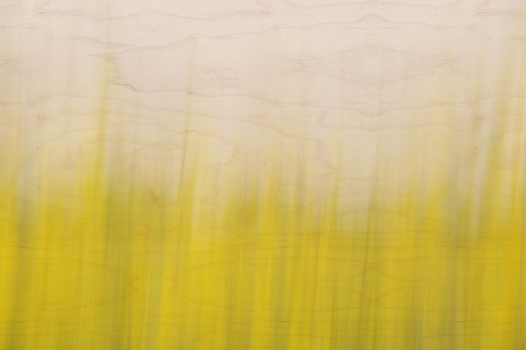 Static and Motion, 2008-03-22-0259