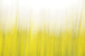 Static and Motion, 2008-03-22-0259