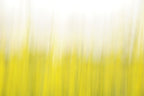 Static and Motion, 2008-03-22-0259