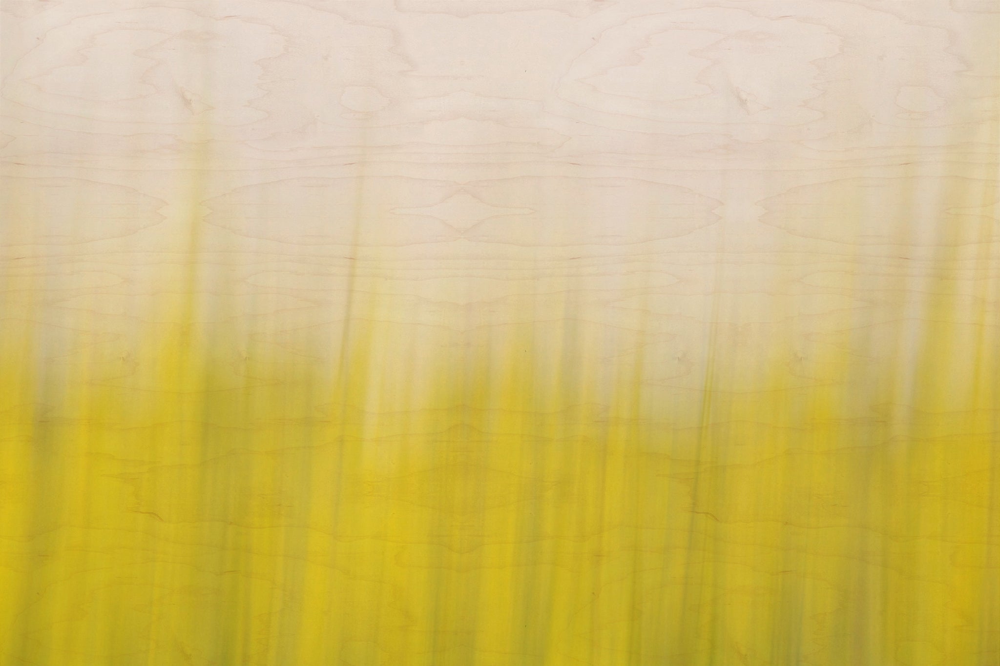 Static and Motion, 2008-03-22-0259
