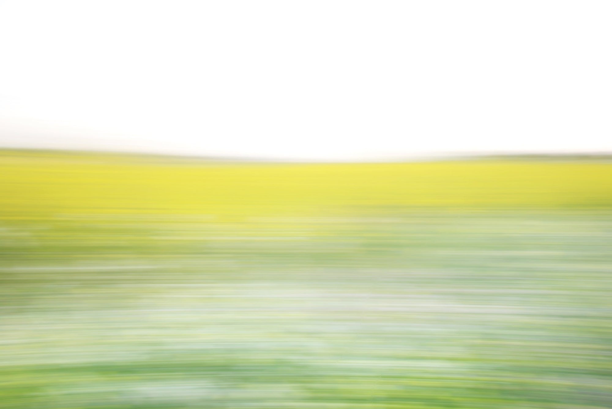 Static and Motion, 2008-03-22-0260