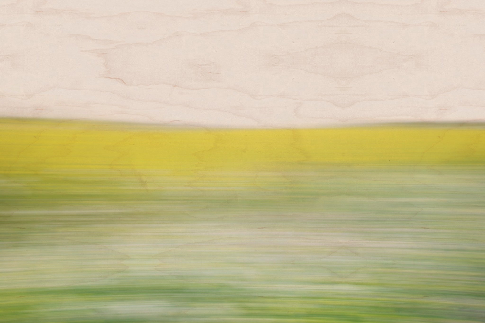 Static and Motion, 2008-03-22-0260
