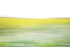 Static and Motion, 2008-03-22-0260