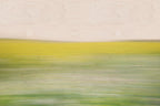 Static and Motion, 2008-03-22-0260