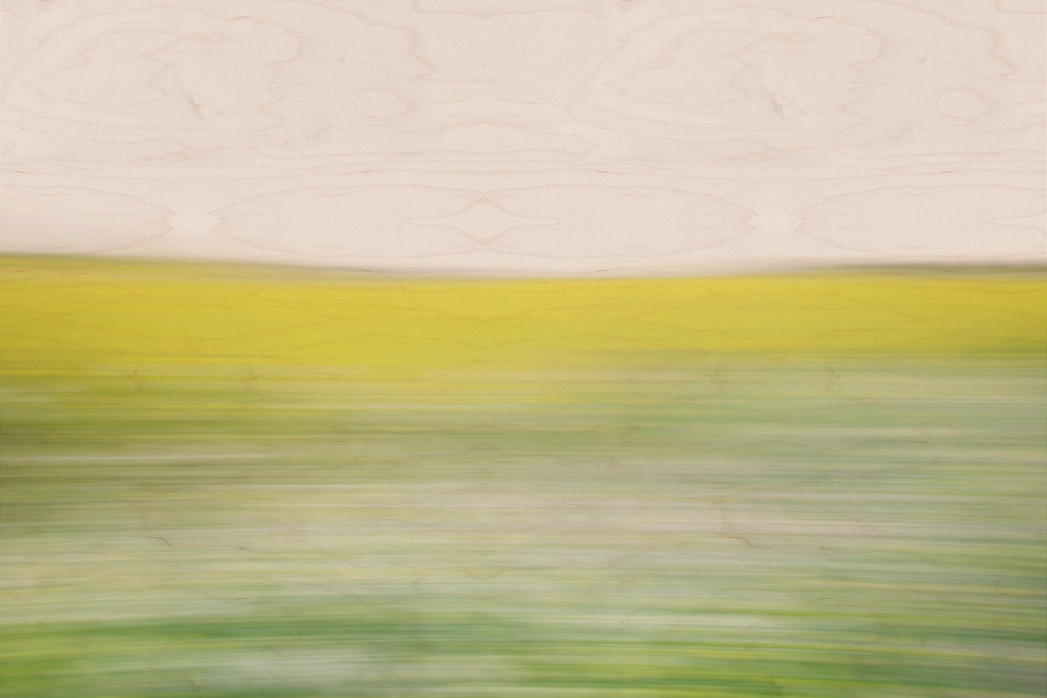 Static and Motion, 2008-03-22-0260