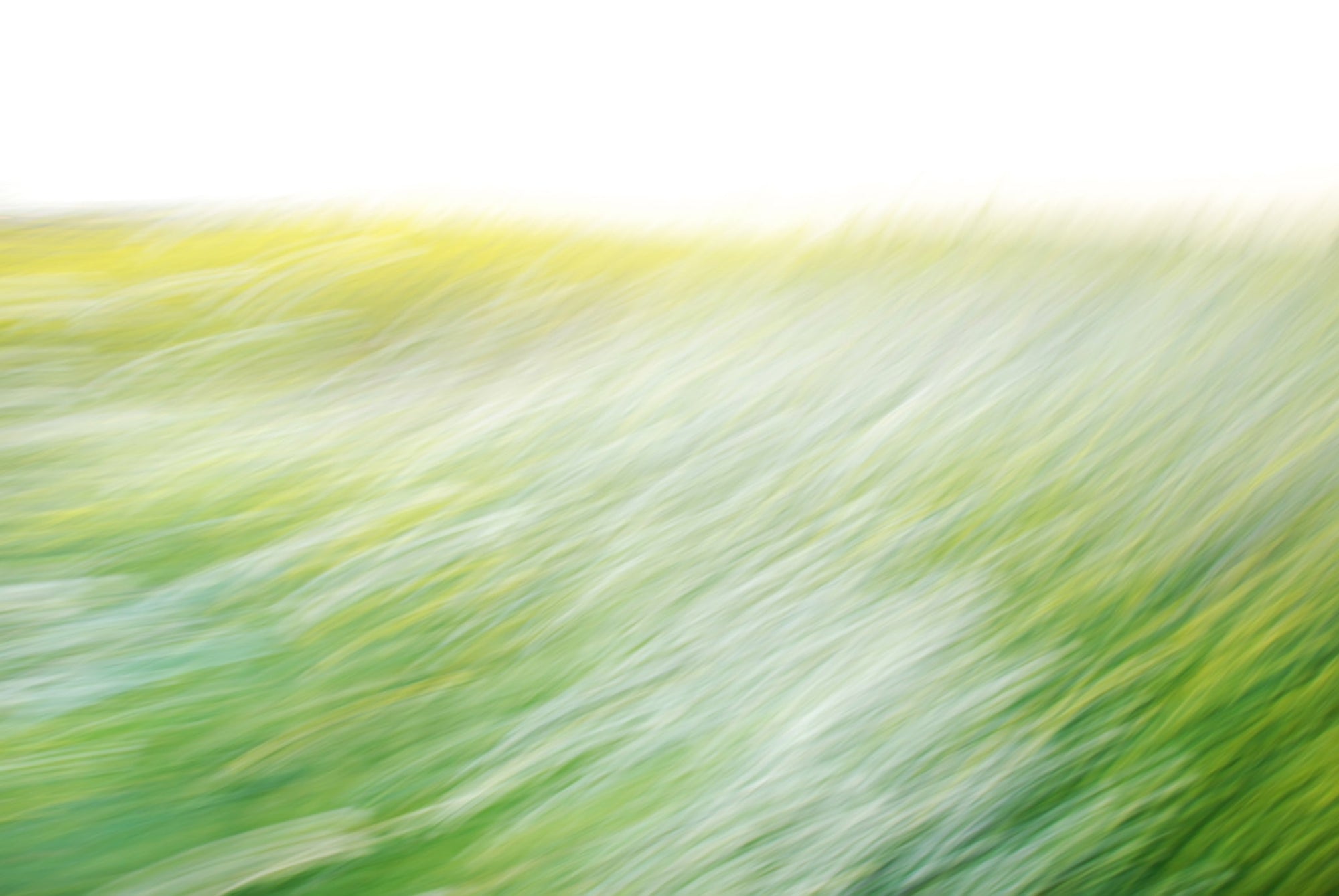 Static and Motion, 2008-03-22-0265