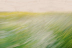 Static and Motion, 2008-03-22-0265