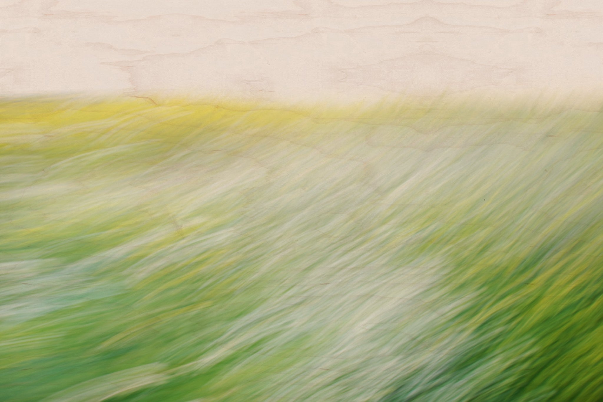 Static and Motion, 2008-03-22-0265