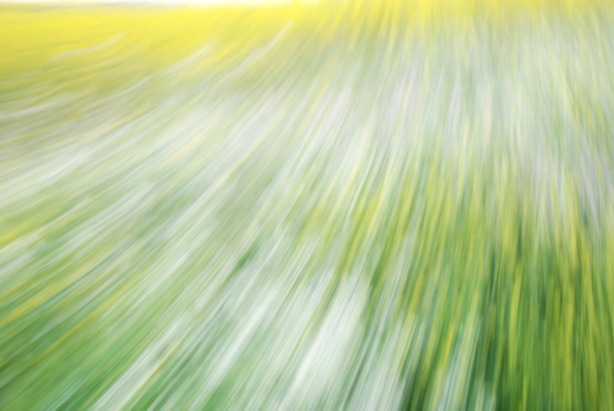 Static and Motion, 2008-03-22-0270