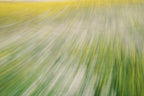 Static and Motion, 2008-03-22-0270