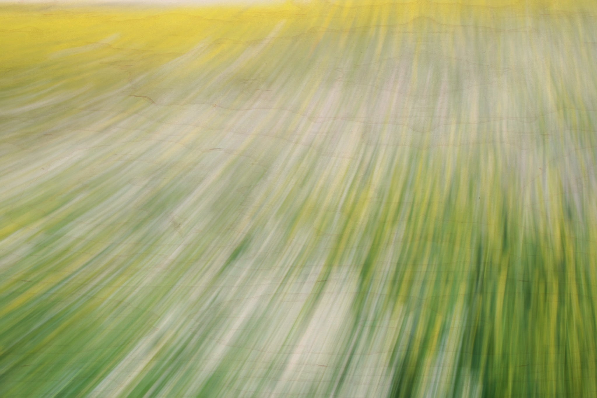 Static and Motion, 2008-03-22-0270