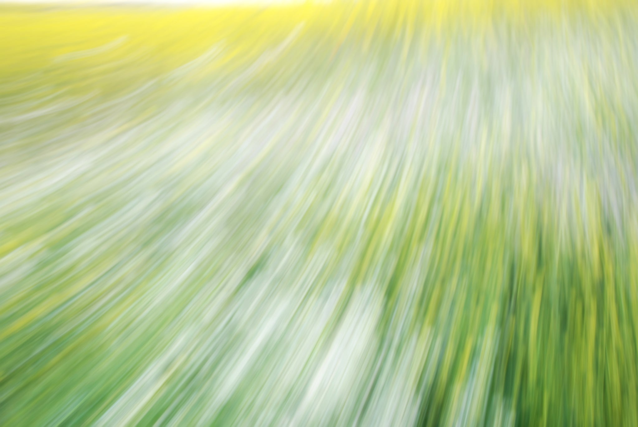 Static and Motion, 2008-03-22-0270