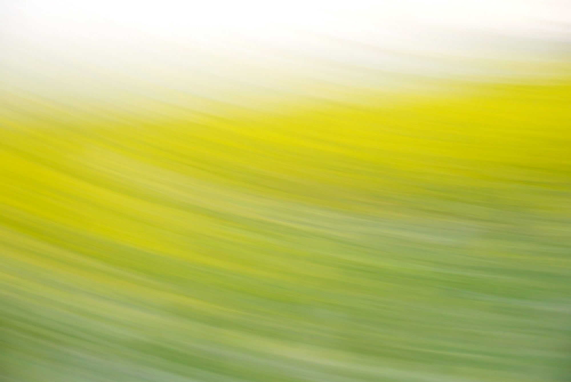 Static and Motion, 2008-03-22-0278