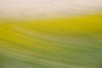 Static and Motion, 2008-03-22-0278
