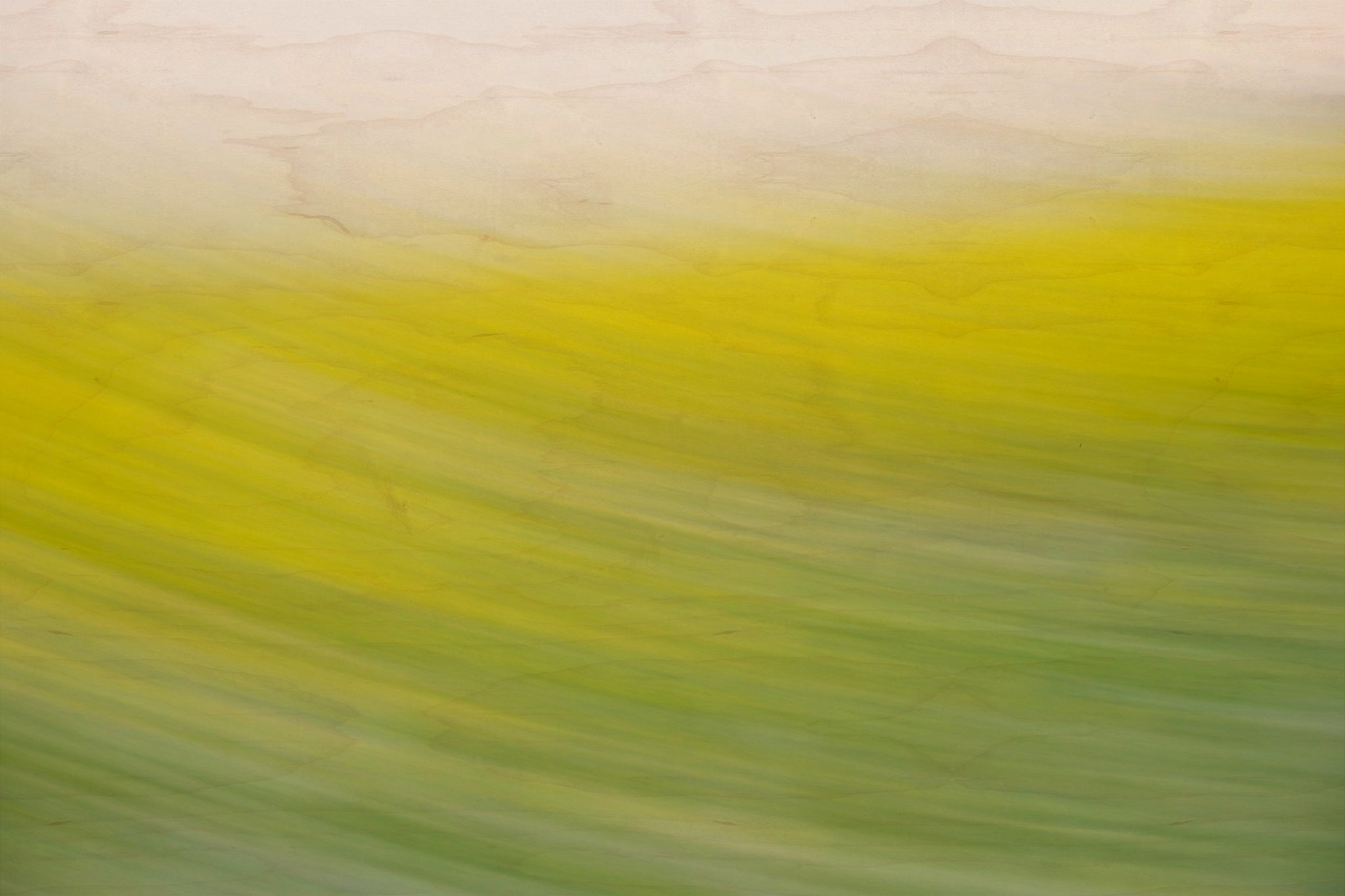 Static and Motion, 2008-03-22-0278