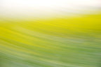 Static and Motion, 2008-03-22-0278