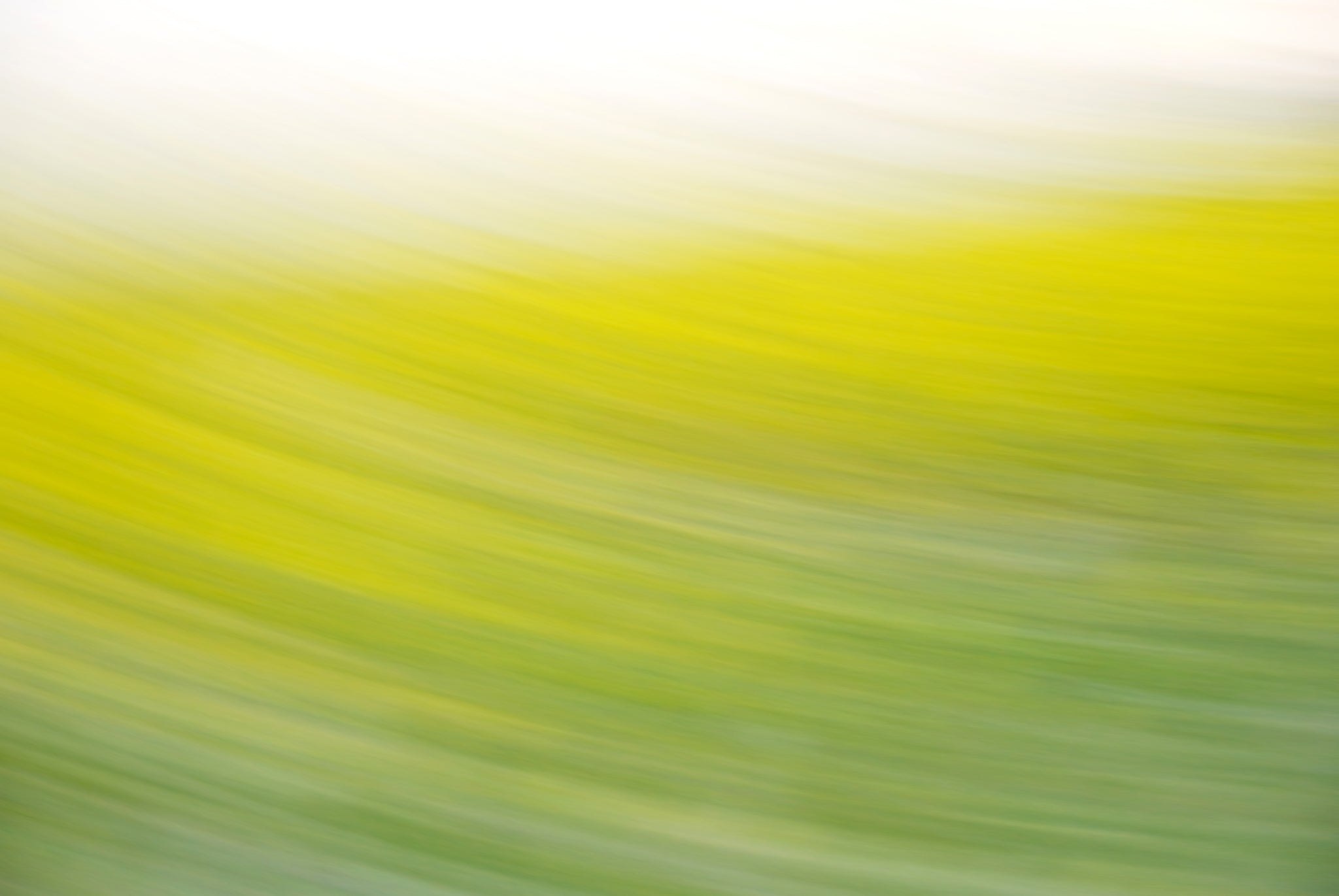 Static and Motion, 2008-03-22-0278