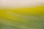 Static and Motion, 2008-03-22-0278
