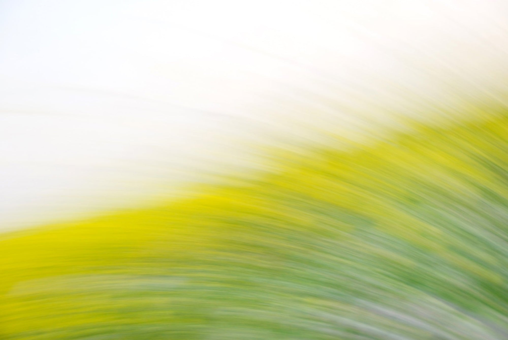 Static and Motion, 2008-03-22-0280