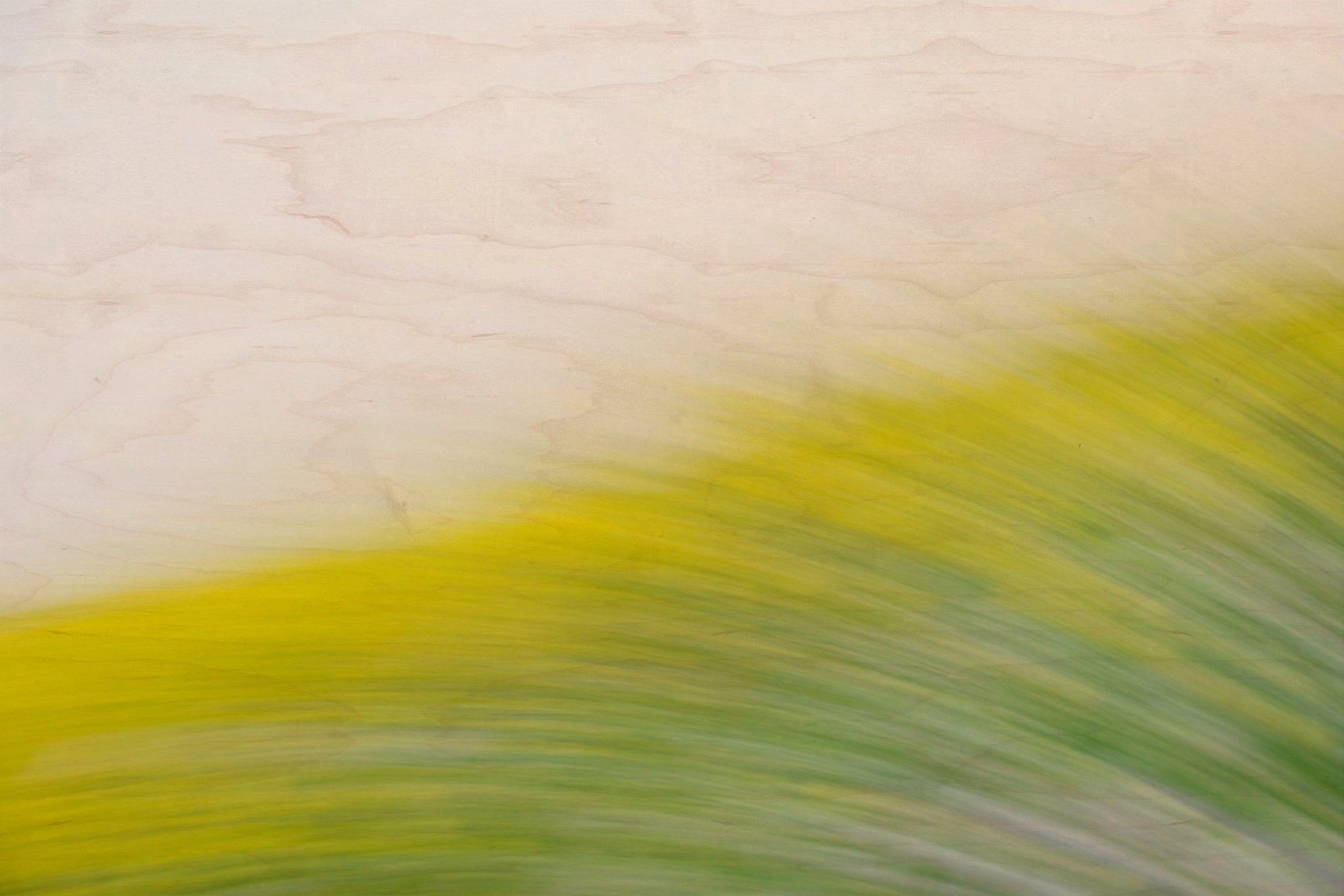 Static and Motion, 2008-03-22-0280
