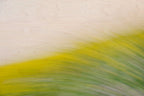 Static and Motion, 2008-03-22-0280
