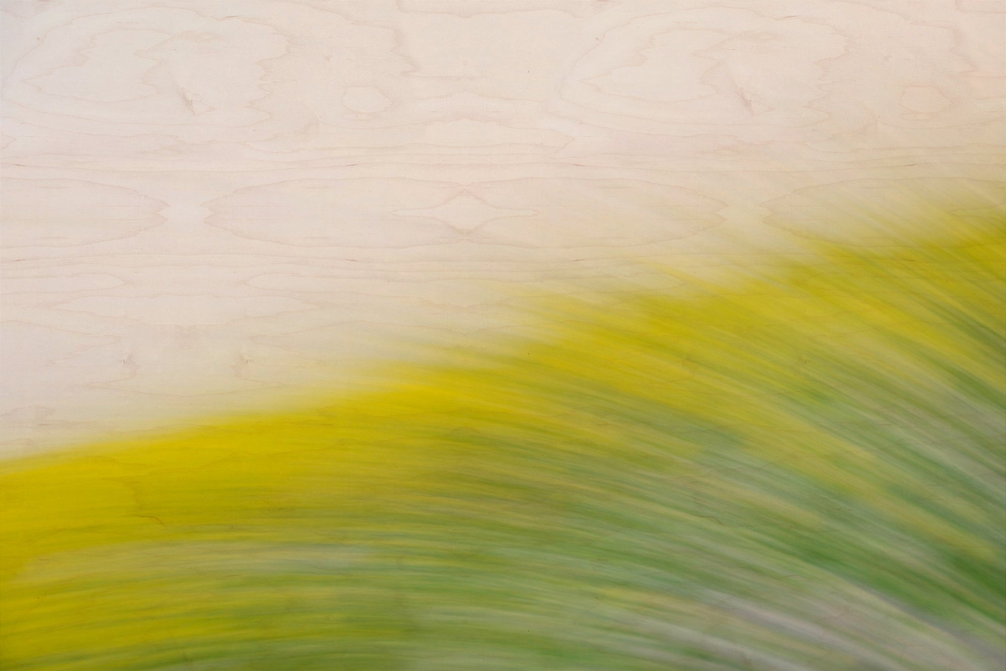 Static and Motion, 2008-03-22-0280