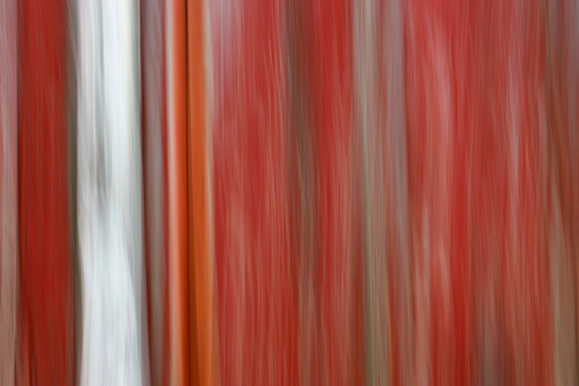 Static and Motion, 2008-04-19-4686