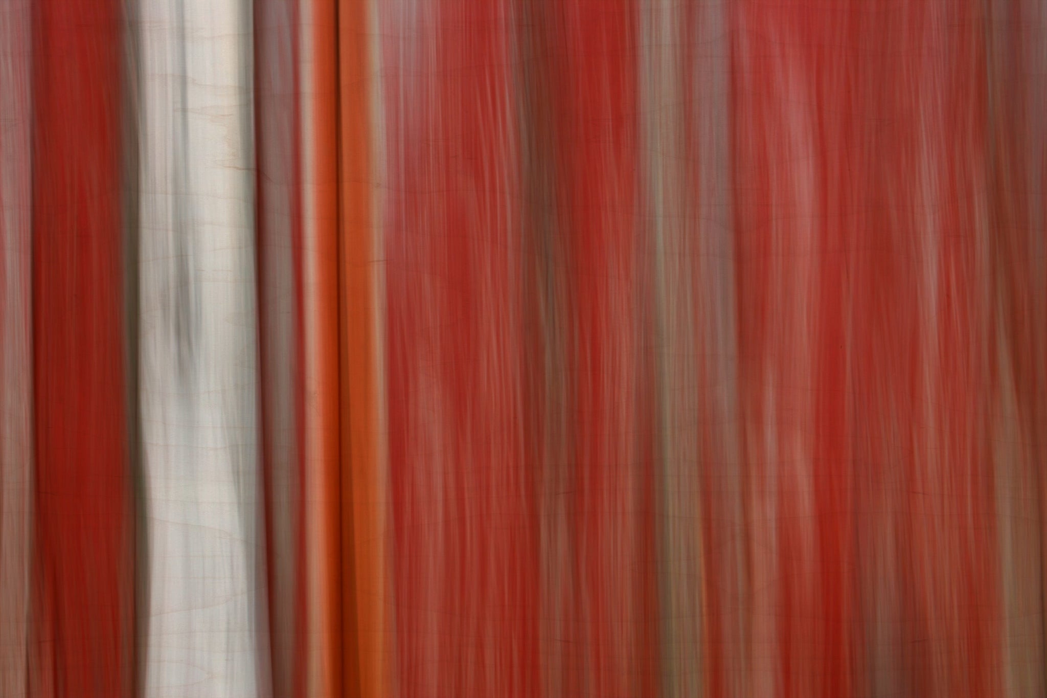 Static and Motion, 2008-04-19-4686