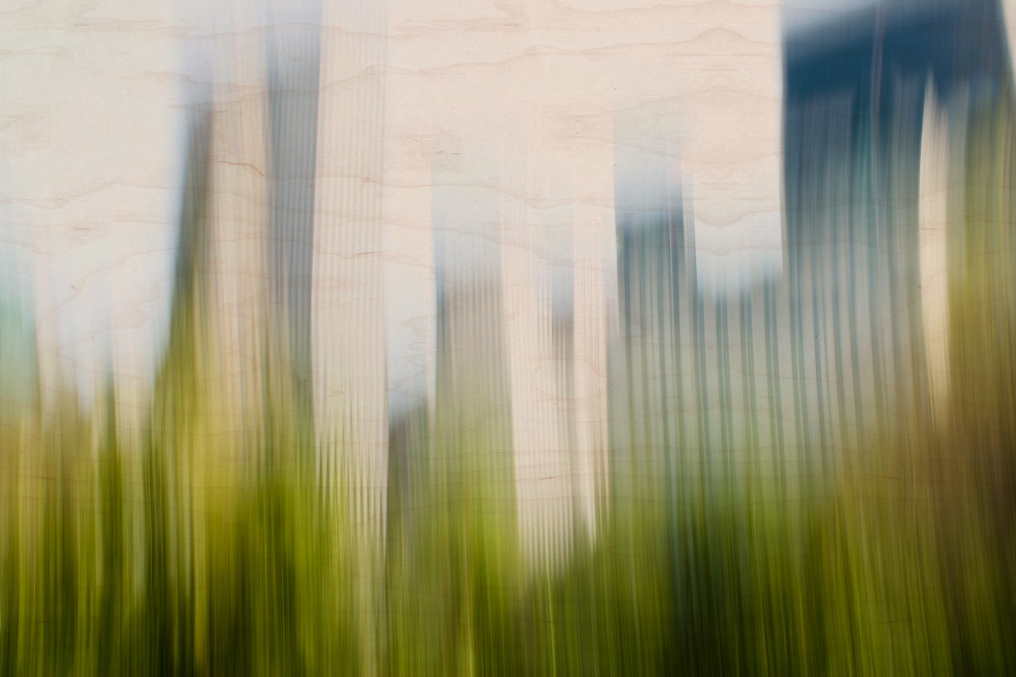 Static and Motion, 2008-04-22-7725
