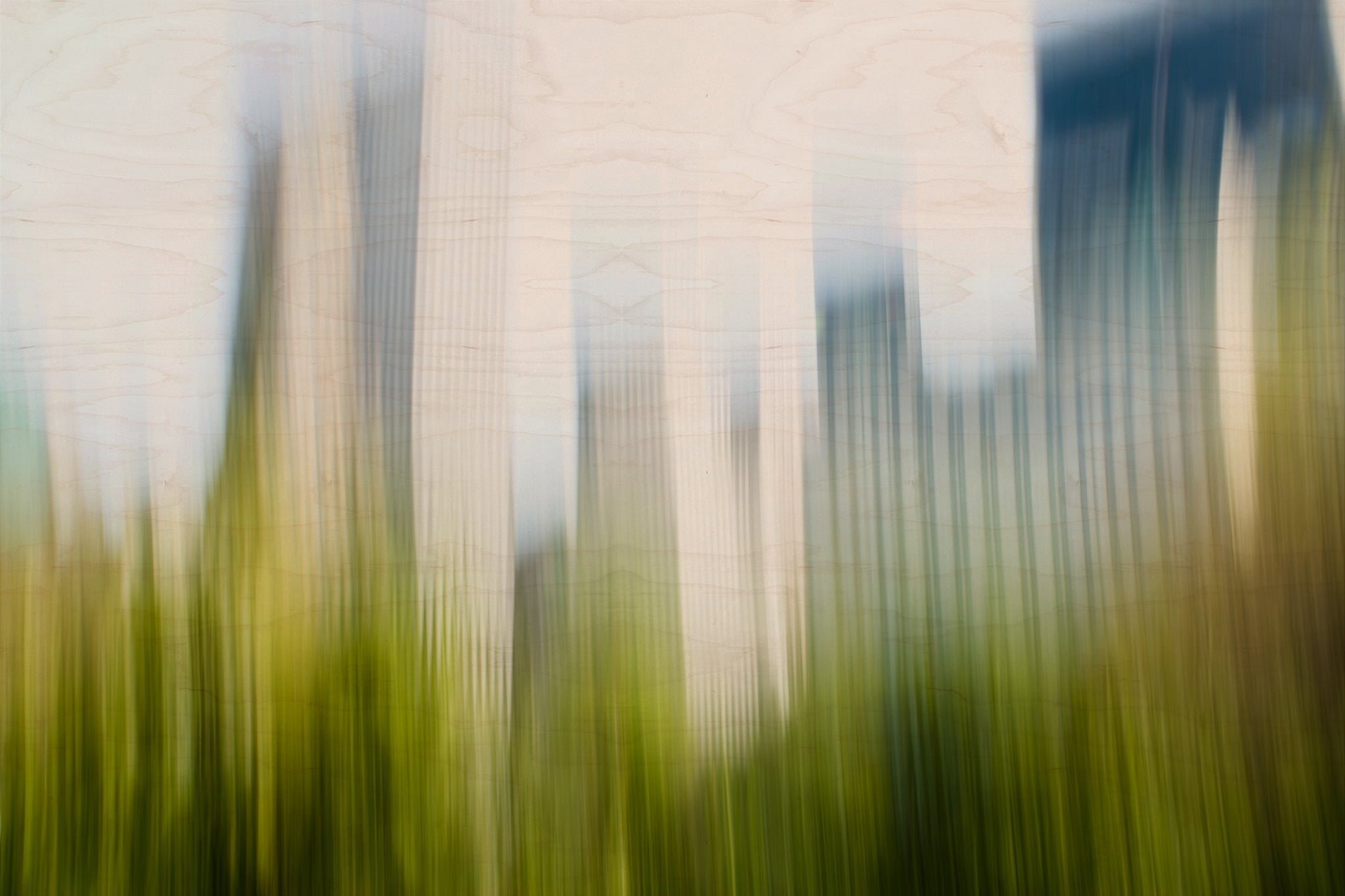 Static and Motion, 2008-04-22-7725