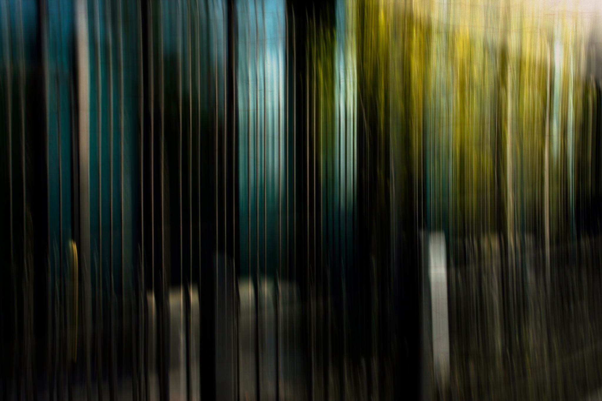 Static and Motion, 2008-04-22-8052