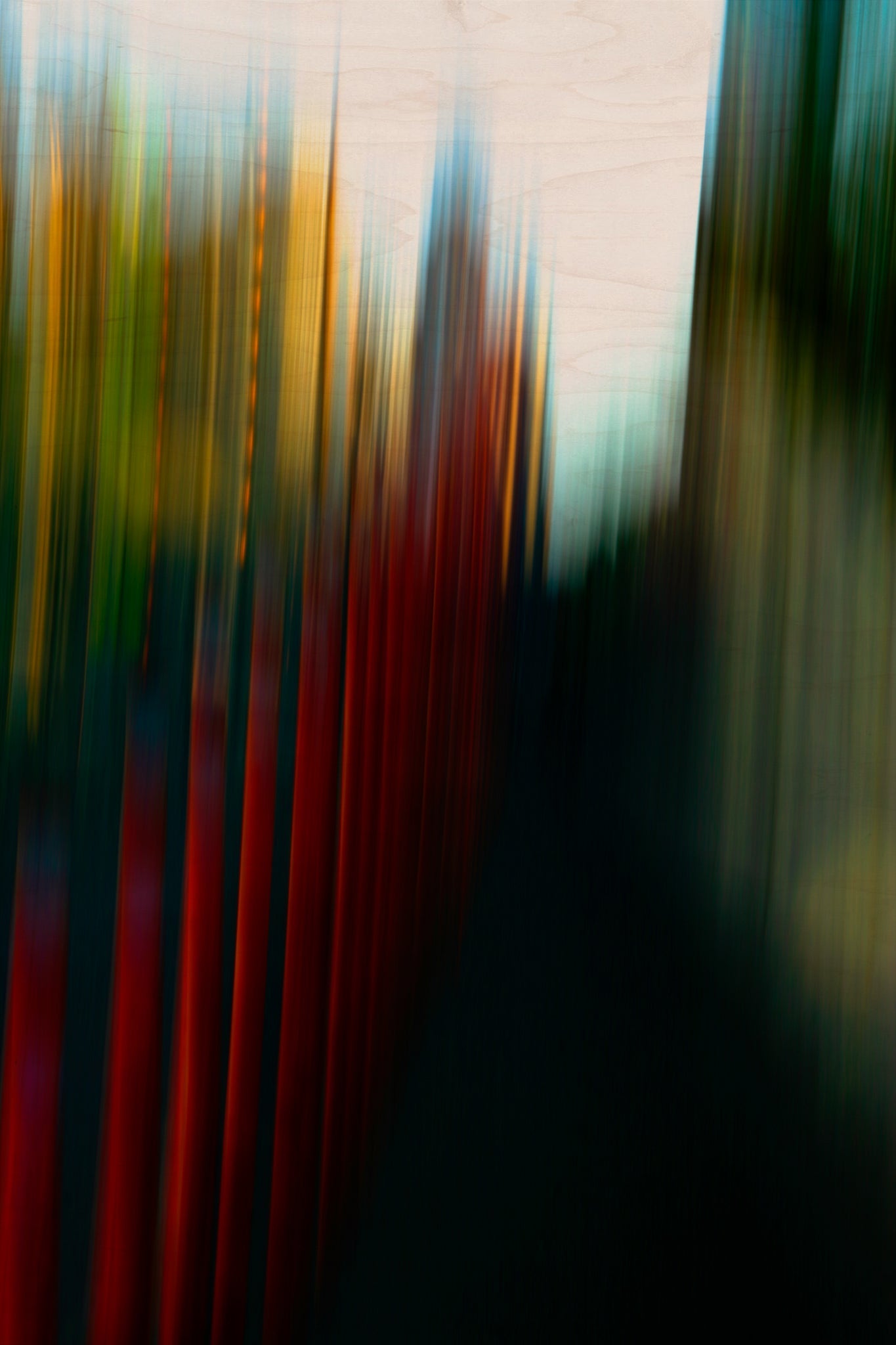 Static and Motion, 2008-04-22-8055