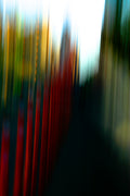 Static and Motion, 2008-04-22-8055