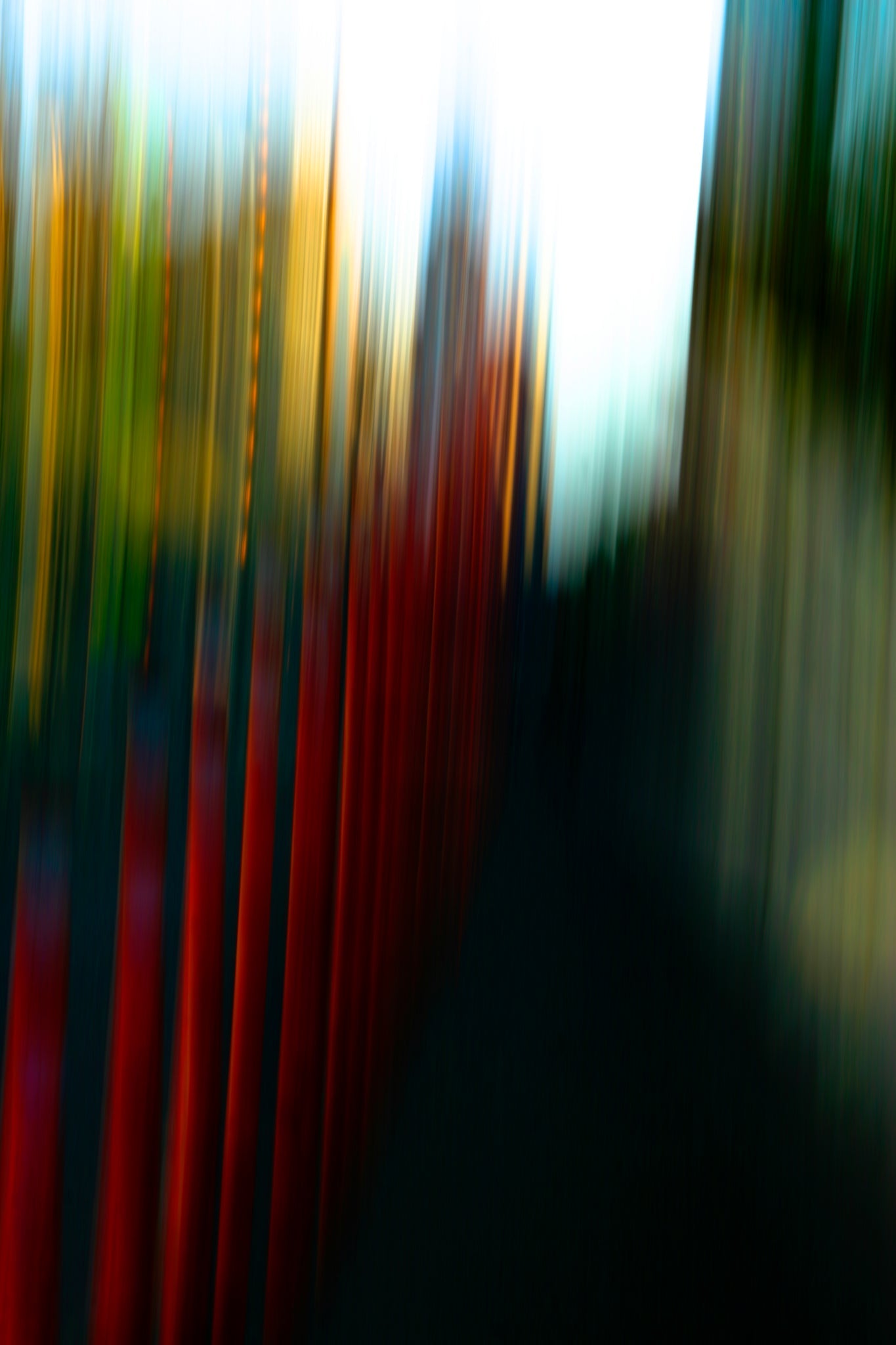 Static and Motion, 2008-04-22-8055