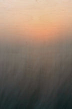 Static and Motion, 2008-04-22-8206