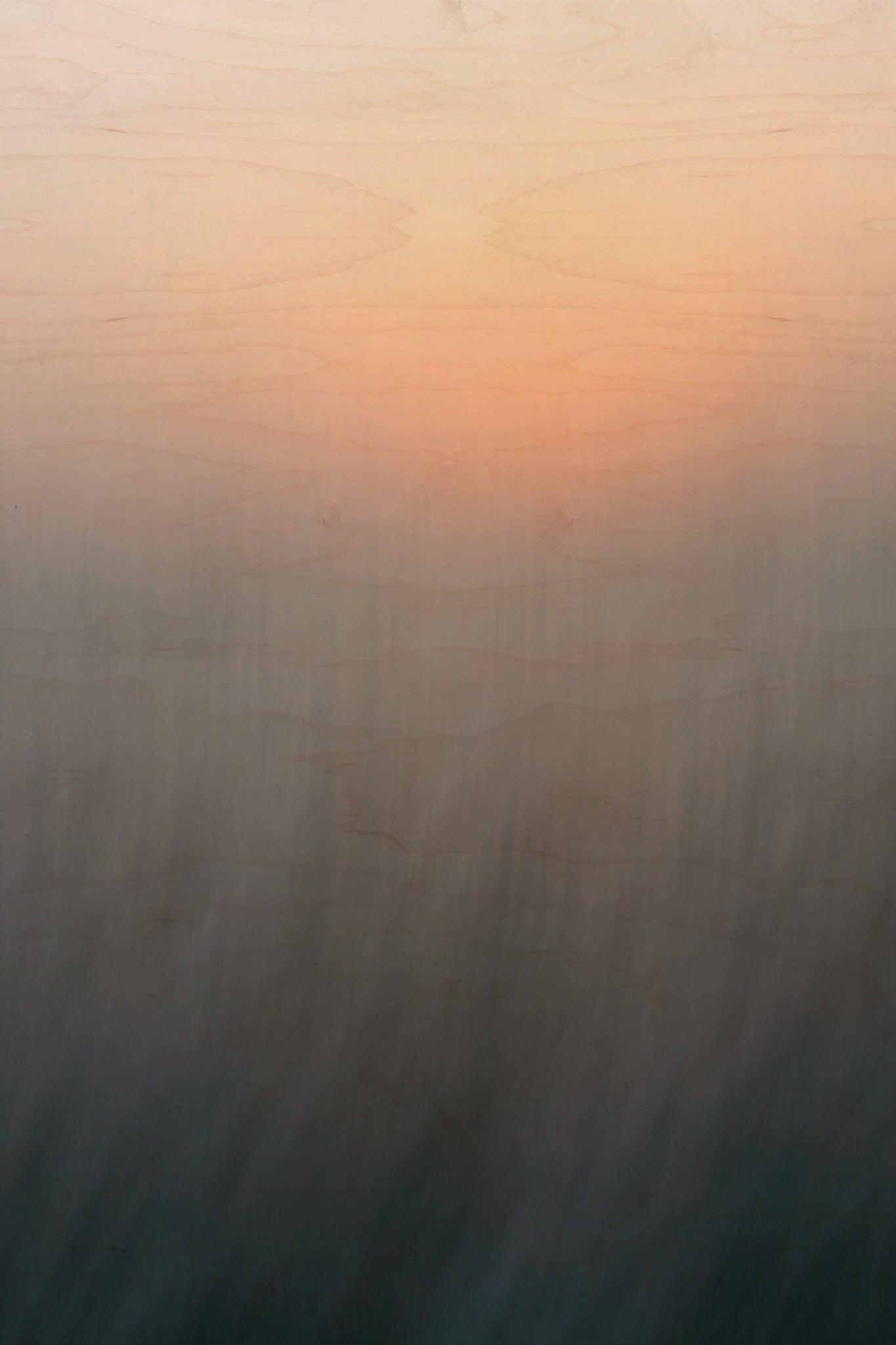 Static and Motion, 2008-04-22-8206