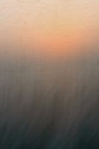 Static and Motion, 2008-04-22-8206