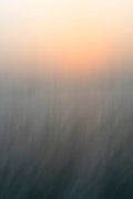 Static and Motion, 2008-04-22-8206