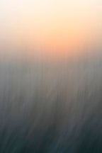 Static and Motion, 2008-04-22-8206