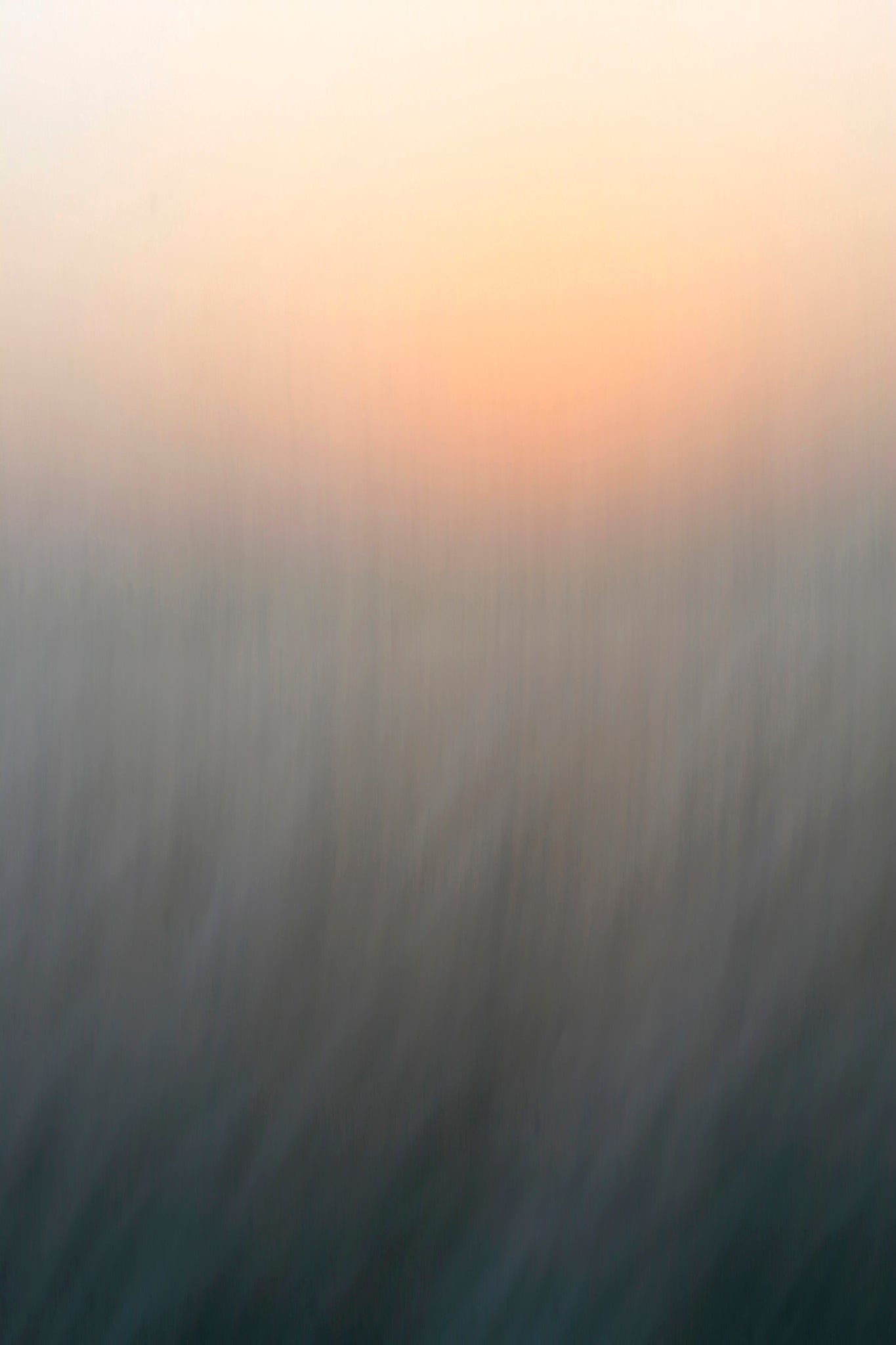 Static and Motion, 2008-04-22-8206