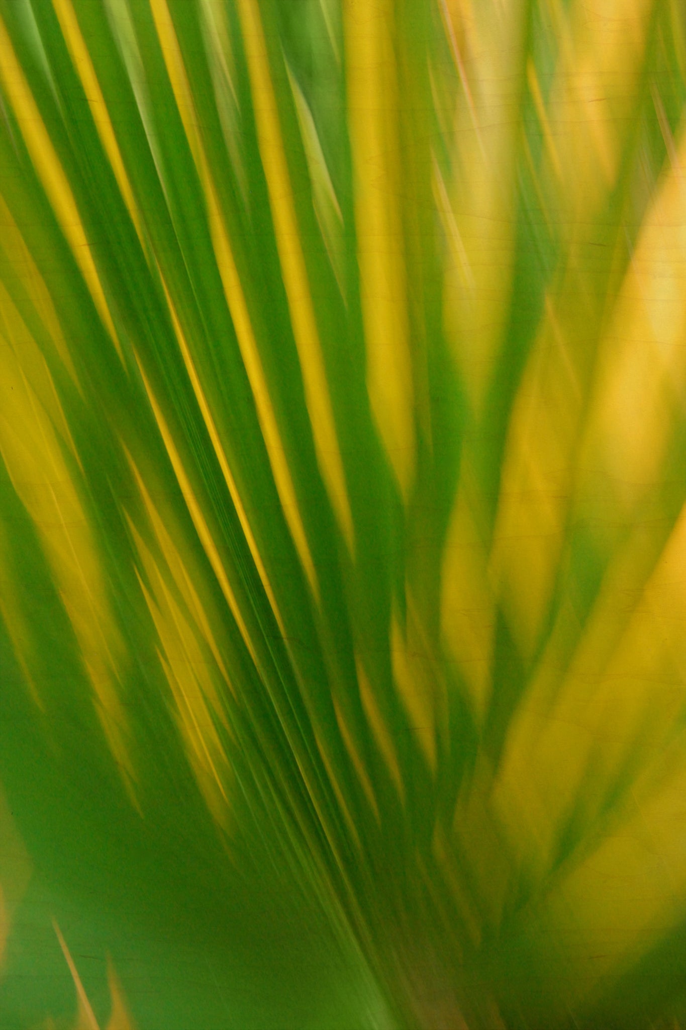 Static and Motion, 2009-09-24-0001